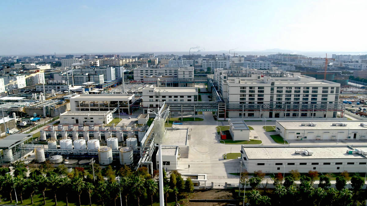 Palm factory area